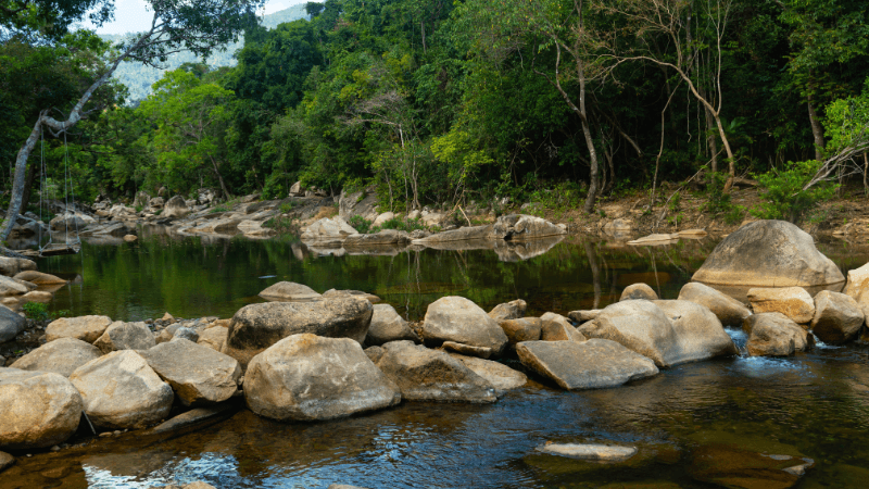 Nagarhole National Park